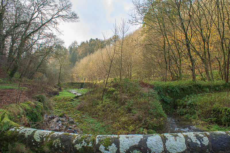 Bradford Dale Bradford Dale